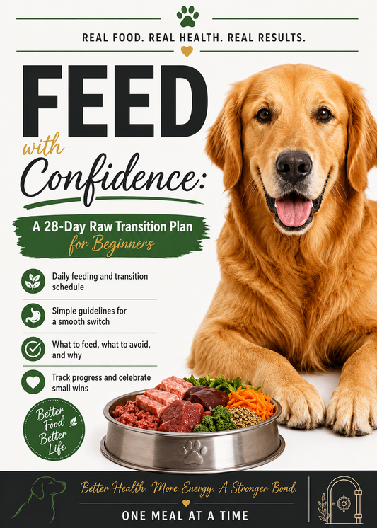 Feed with Confidence: A 28-Day Raw Transition Plan for Beginners